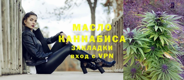 дмт Осташков