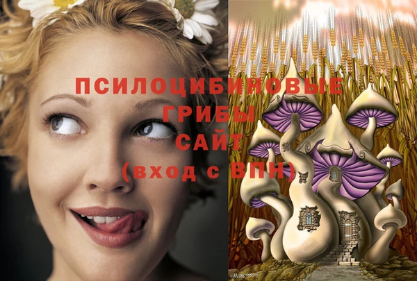 дмт Осташков
