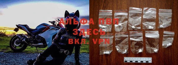 дмт Осташков