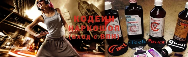 дмт Осташков