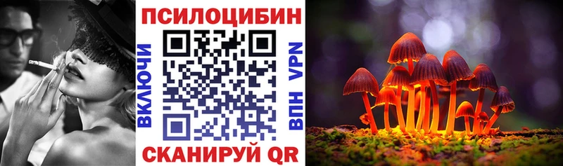 цена   Лангепас  Псилоцибиновые грибы GOLDEN TEACHER 